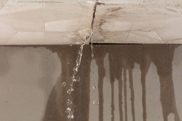 Professional Structural Drying technician working in Brookfield, OH